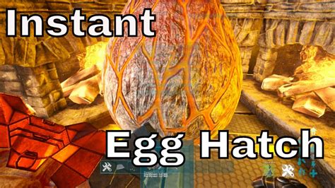 This command is similar to the fastgrow command - it removes the time eggs in Alien Containments take to hatch (an egg should take just a few seconds for them to hatch). . Ark egg hatching command